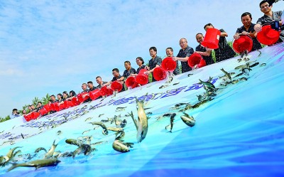护得安澜常在 激活发展脉动——江西九江探索建设长江经济带高质量发展高地