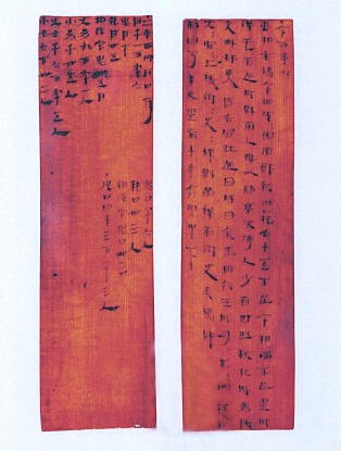 长安的枇杷