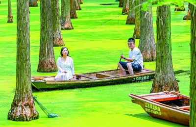 “国际湿地城市”，魅力不一般