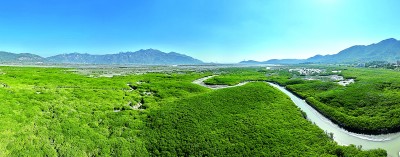 “国际湿地城市”，魅力不一般