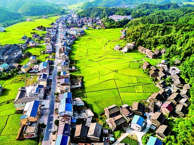 【大美中国】秋景入画来
