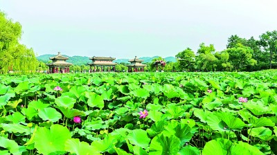 【大美中国】乐享时光