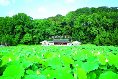红土沃野间，薪火正相传——福建龙岩以红色文化助力高质量发展