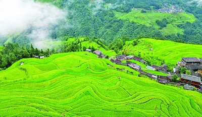 梯田景如画