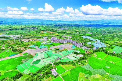 【大美中国】乡村美 产业兴