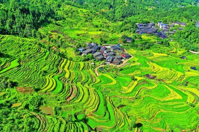 【大美中国】苗寨入画来