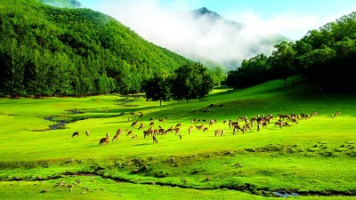 文化“加码” 旅游“升温”——黑龙江推动特色文旅全域全季融合发展