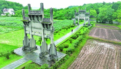 田野调查：扎根基层沃土 锤炼学术真功