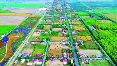 新疆奎屯市开干齐乡高疙瘩泉村：“菌香”四溢促蝶变
