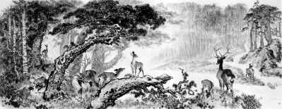 林海深处闻鹿鸣（中国画）