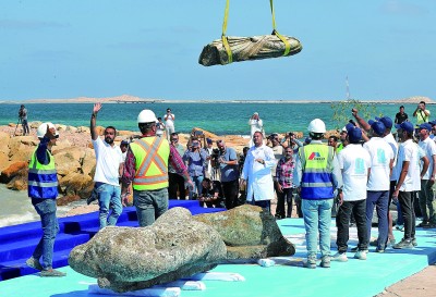 埃及从地中海打捞起数件文物