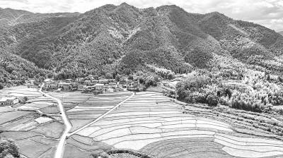 山村生态美