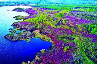 阿尔山世界地质公园：火山林海写就自然史诗