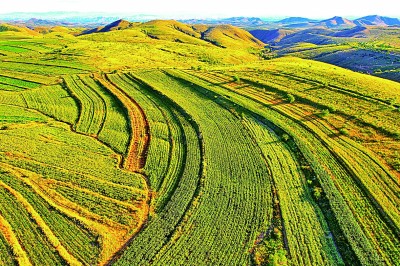 【大美中国】丰收大地
