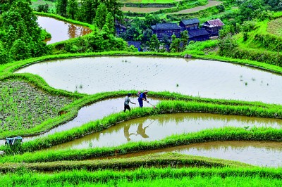 苗岭新风采 丰收满黔山
