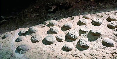 8600万年前！最大恐龙蛋化石群年代谜题被破解