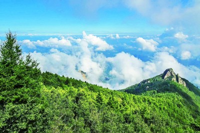 麻利嫂，忘不了你踩出的那溜山道……