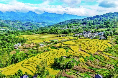 【大美中国】丰收画卷