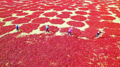 图片报道