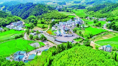 江西省井冈山市茅坪镇马源村：村容和美醉人意