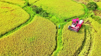 大江南北唱响丰收欢歌——2025年中国农民丰收节全国主场活动速写
