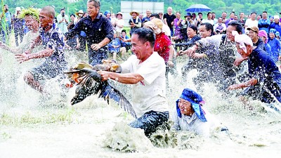 大江南北唱响丰收欢歌——2025年中国农民丰收节全国主场活动速写
