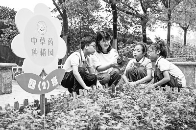图片报道