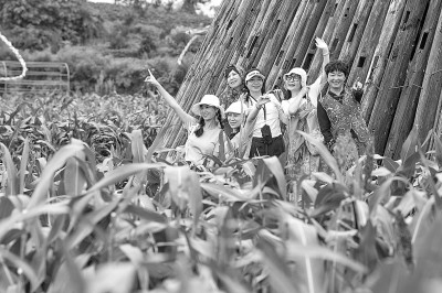 重庆璧山：农文旅融合绘就新农村画卷