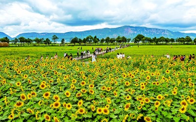 共赏同一轮明月 诉说同一份思念