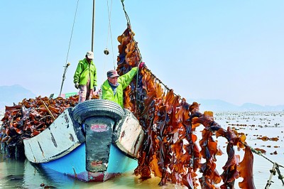 【携手奔赴现代化的明天】怎样经略海洋？福建给我们打了个样儿！