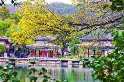 【大美中国】秋之韵