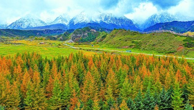 祁连秋景