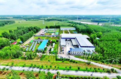 河南省濮阳市濮阳县清河头乡桃园村：家门口端稳就业饭碗