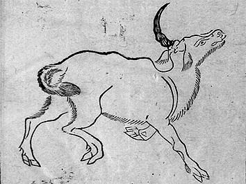 郑和下西洋带回的珍兽