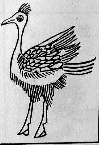 郑和下西洋带回的珍兽