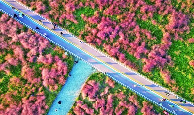 【大美中国】秋色斑斓