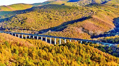 中欧班列“东通道”今年进口运量突破2700万吨