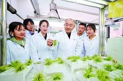 聚焦国家重大战略需求，展现更大作为