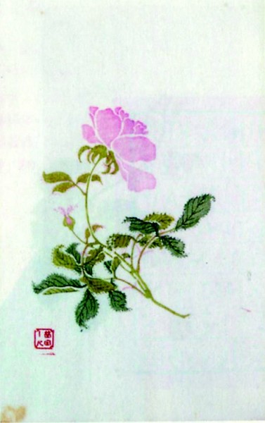 《北平笺谱》