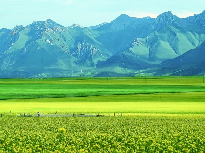 听，这激昂的乡村变奏曲！——吉、赣、青乡村振兴发展见闻