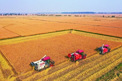 听，这激昂的乡村变奏曲！——吉、赣、青乡村振兴发展见闻