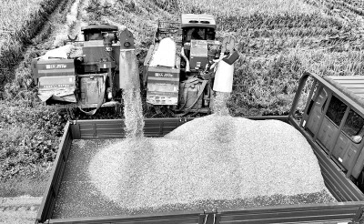 科技赋能,守护大国粮仓 科技赋能,守护大国粮仓