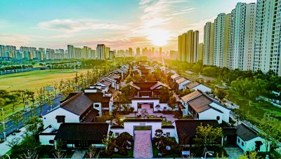 联动发展绘就共富新图景——苏浙粤闽经济大省推进共同富裕的观察与思考