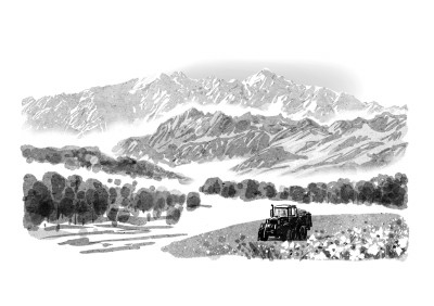 收集木叶(小说) 收集木叶(小说)