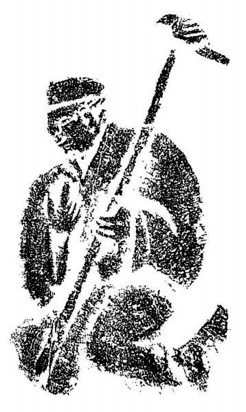 重阳与敬老 重阳与敬老