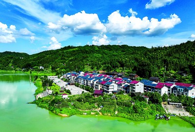 这片绿,不只是底色更是生活 这片绿,不只是底色更是生活