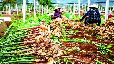 这片绿,不只是底色更是生活 这片绿,不只是底色更是生活