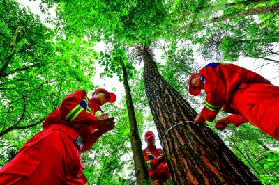 这片绿,不只是底色更是生活 这片绿,不只是底色更是生活