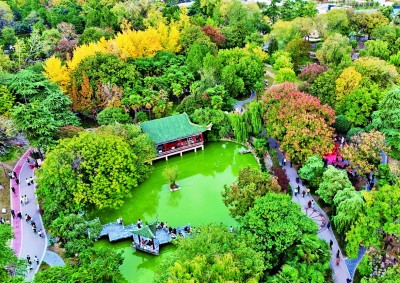 秋声渐杳 斑斓成诗