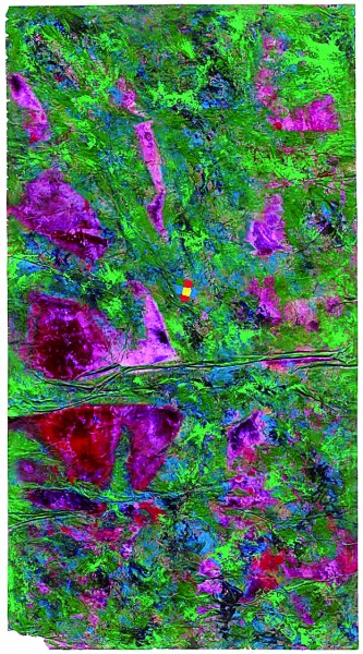 神韵交融天地间